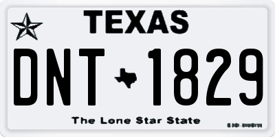 TX license plate DNT1829