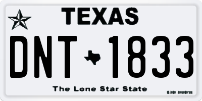 TX license plate DNT1833