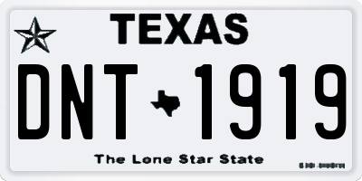 TX license plate DNT1919