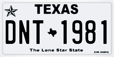 TX license plate DNT1981