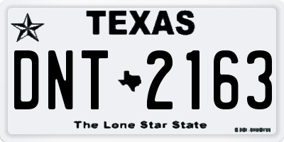 TX license plate DNT2163
