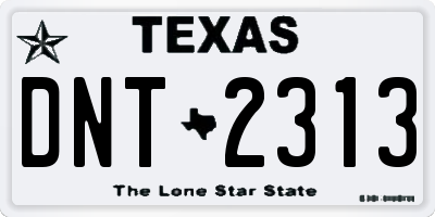 TX license plate DNT2313