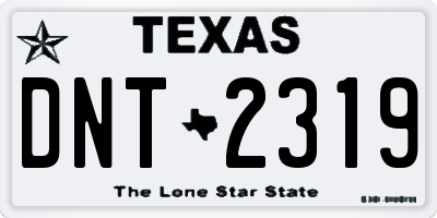 TX license plate DNT2319