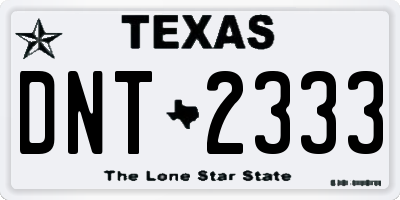 TX license plate DNT2333