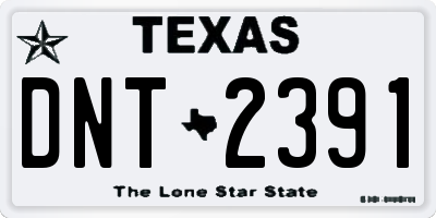 TX license plate DNT2391
