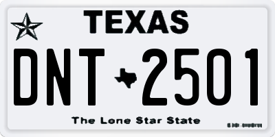 TX license plate DNT2501