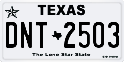 TX license plate DNT2503