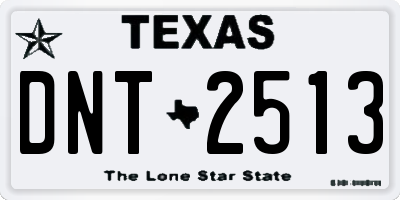 TX license plate DNT2513