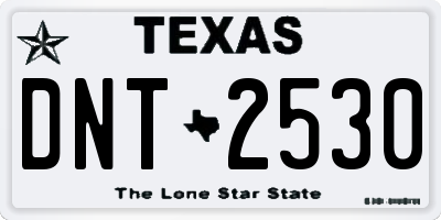 TX license plate DNT2530