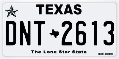 TX license plate DNT2613