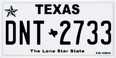 TX license plate DNT2733