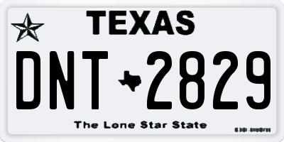 TX license plate DNT2829