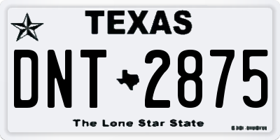 TX license plate DNT2875