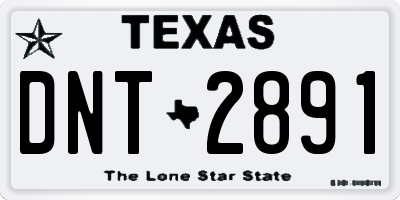 TX license plate DNT2891