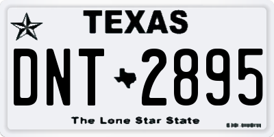 TX license plate DNT2895