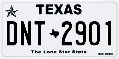 TX license plate DNT2901