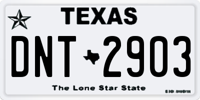TX license plate DNT2903
