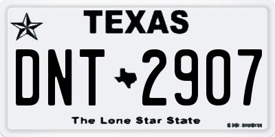 TX license plate DNT2907