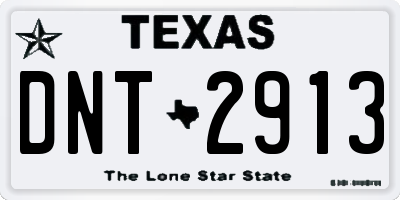 TX license plate DNT2913