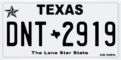 TX license plate DNT2919