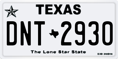 TX license plate DNT2930
