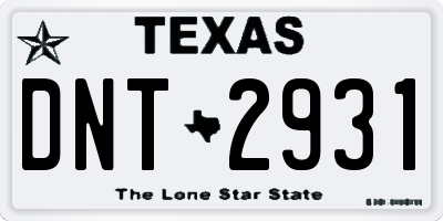 TX license plate DNT2931