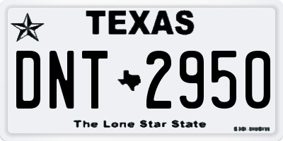 TX license plate DNT2950