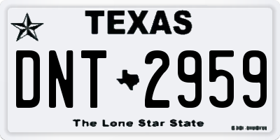 TX license plate DNT2959