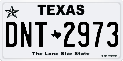 TX license plate DNT2973