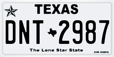 TX license plate DNT2987