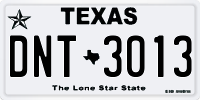 TX license plate DNT3013