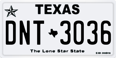 TX license plate DNT3036