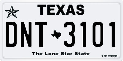 TX license plate DNT3101