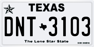 TX license plate DNT3103