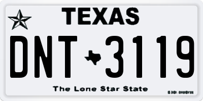 TX license plate DNT3119