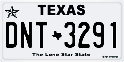 TX license plate DNT3291