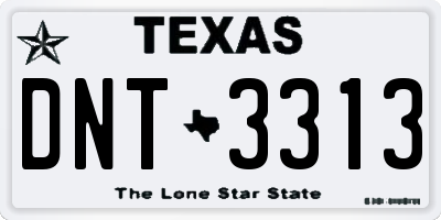 TX license plate DNT3313
