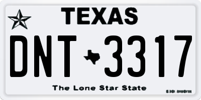 TX license plate DNT3317