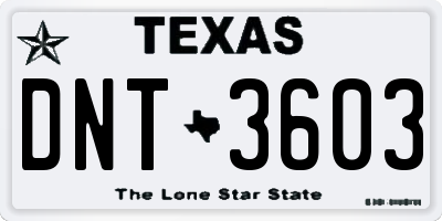 TX license plate DNT3603