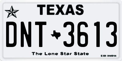 TX license plate DNT3613