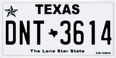 TX license plate DNT3614