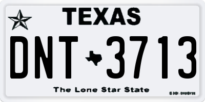 TX license plate DNT3713