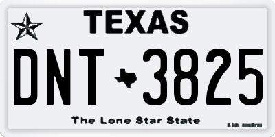 TX license plate DNT3825