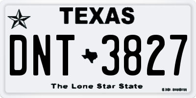 TX license plate DNT3827