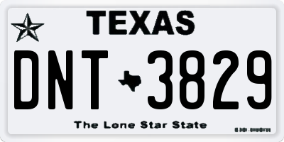 TX license plate DNT3829