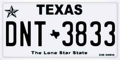 TX license plate DNT3833