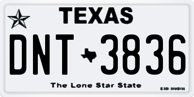 TX license plate DNT3836