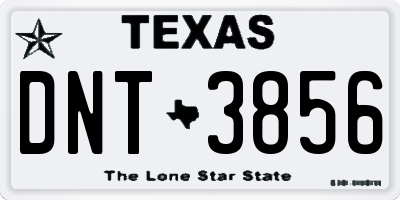 TX license plate DNT3856