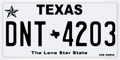 TX license plate DNT4203