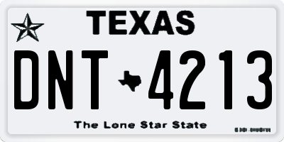 TX license plate DNT4213